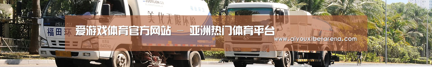 成功案例