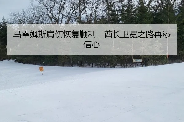 马霍姆斯肩伤恢复顺利，酋长卫冕之路再添信心