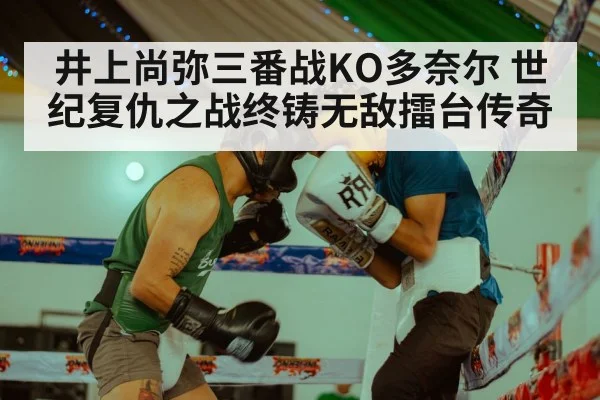 井上尚弥三番战KO多奈尔 世纪复仇之战终铸无敌擂台传奇