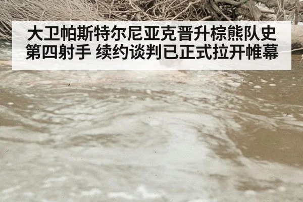 大卫帕斯特尔尼亚克晋升棕熊队史第四射手 续约谈判已正式拉开帷幕