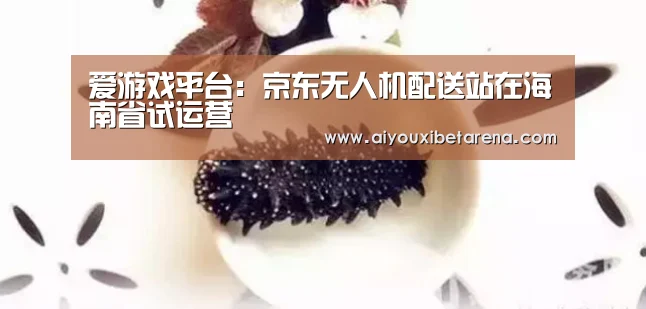 爱游戏视讯